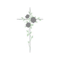 Garden Roses Flowers