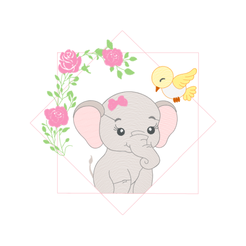 Garden Roses Flowers Garden Roses Flowers