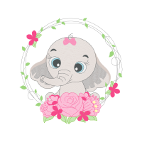 Garden Roses Flowers Garden Roses Flowers