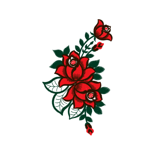 Garden Roses Flowers Garden Roses Flowers