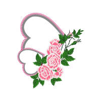 Garden Roses Flowers Garden Roses Flowers