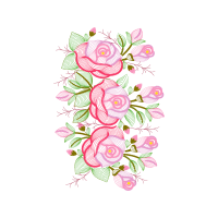 Garden Roses Flowers Garden Roses Flowers