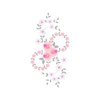 Garden Roses Flowers