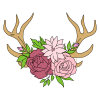 Garden Roses Flowers Garden Roses Flowers