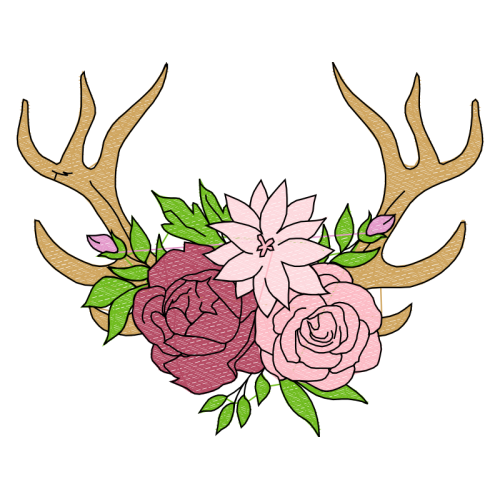 Garden Roses Flowers Garden Roses Flowers