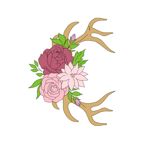 Garden Roses Flowers Garden Roses Flowers