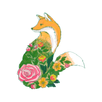 Garden Roses Flowers Garden Roses Flowers