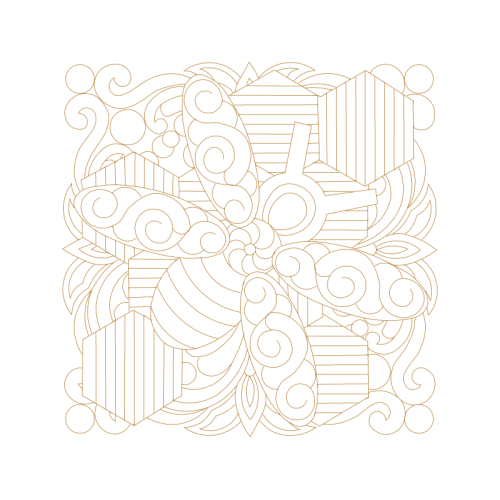 Garden Roses Flowers Garden Roses Flowers