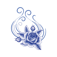 Garden Roses Flowers Garden Roses Flowers