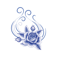 Garden Roses Flowers Garden Roses Flowers