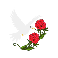 Garden Roses Flowers Garden Roses Flowers