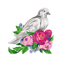 Garden Roses Flowers Garden Roses Flowers