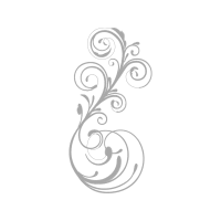 Garden Roses Flowers Garden Roses Flowers