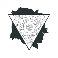 Garden Roses Flowers Garden Roses Flowers