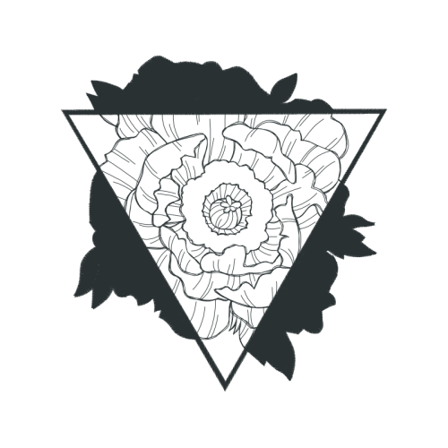 Garden Roses Flowers Garden Roses Flowers