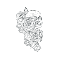 Garden Roses Flowers Garden Roses Flowers