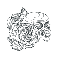 Garden Roses Flowers Garden Roses Flowers