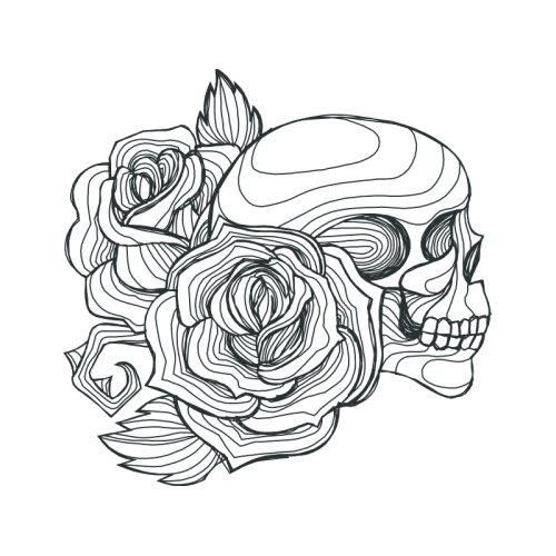 Garden Roses Flowers Garden Roses Flowers