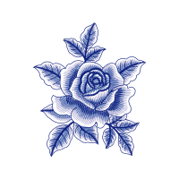 Garden Roses Flowers Garden Roses Flowers