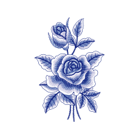 Garden Roses Flowers Garden Roses Flowers