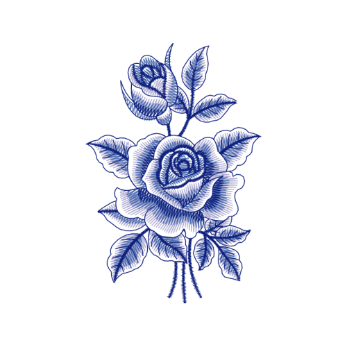 Garden Roses Flowers Garden Roses Flowers