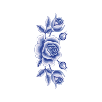 Garden Roses Flowers Garden Roses Flowers