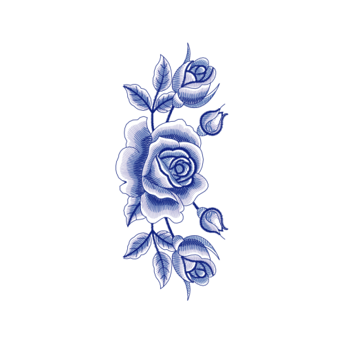 Garden Roses Flowers Garden Roses Flowers