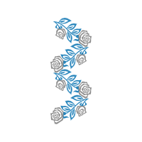 Garden Roses Flowers Garden Roses Flowers