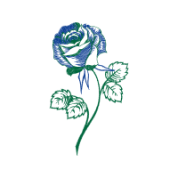 Garden Roses Flowers Garden Roses Flowers