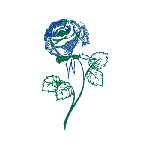 Garden Roses Flowers Garden Roses Flowers