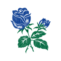 Garden Roses Flowers Garden Roses Flowers