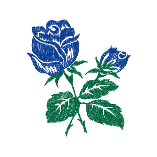 Garden Roses Flowers Garden Roses Flowers