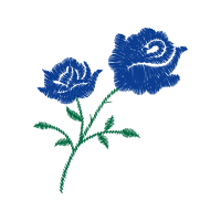 Garden Roses Flowers Garden Roses Flowers