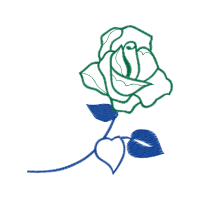 Garden Roses Flowers