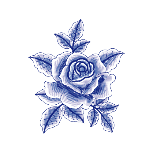 Garden Roses Flowers Garden Roses Flowers