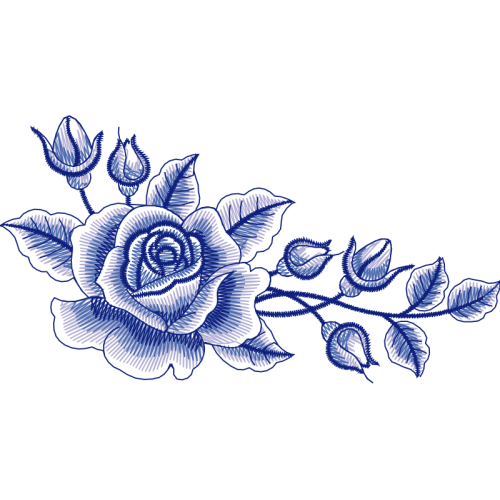 Garden Roses Flowers Garden Roses Flowers