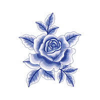 Garden Roses Flowers Garden Roses Flowers