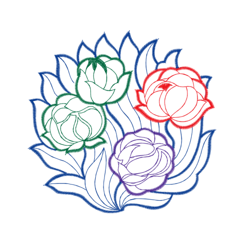 Garden Roses Flowers Garden Roses Flowers