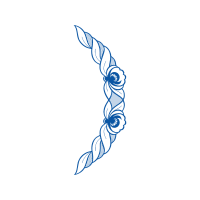 Garden Roses Flowers