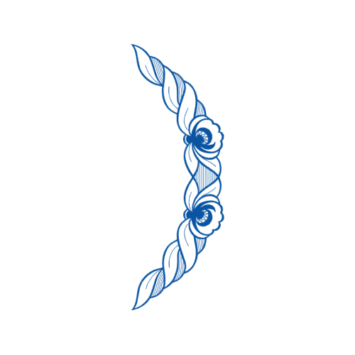 Garden Roses Flowers Garden Roses Flowers