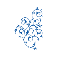 Garden Roses Flowers