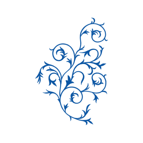 Garden Roses Flowers Garden Roses Flowers