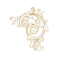 Garden Roses Flowers Garden Roses Flowers