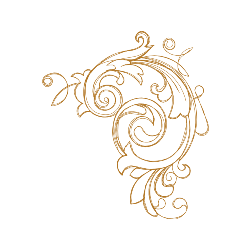 Garden Roses Flowers Garden Roses Flowers