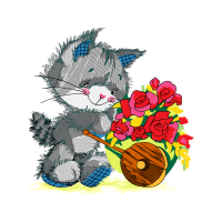 Garden Roses Flowers