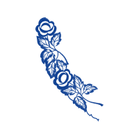 Garden Roses Flowers Garden Roses Flowers