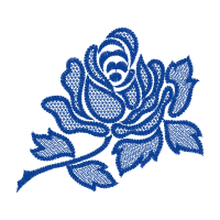 Garden Roses Flowers Garden Roses Flowers