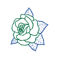 Garden Roses Flowers Garden Roses Flowers