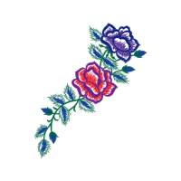 Garden Roses Flowers Garden Roses Flowers