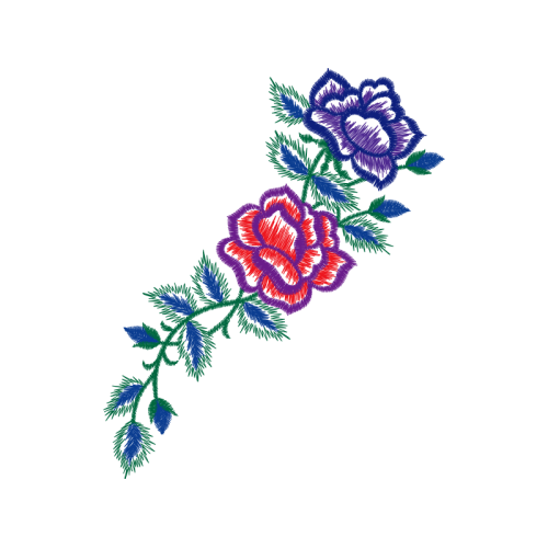 Garden Roses Flowers Garden Roses Flowers